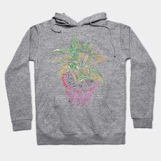 Potted Plant Hoodie